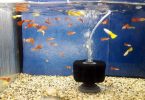 How Often to Change Fish Tank Filter