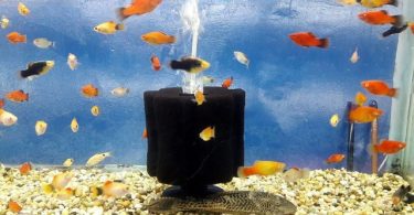 How do i Reduce The Flow of an Aquarium Filter