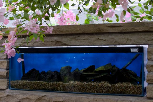 How Much Does a 120 Gallon Fish Tank Weigh